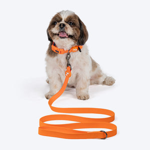 HUFT Hive Harmony Waterproof Collar and Leash Set For Dog - Orange - Heads Up For Tails