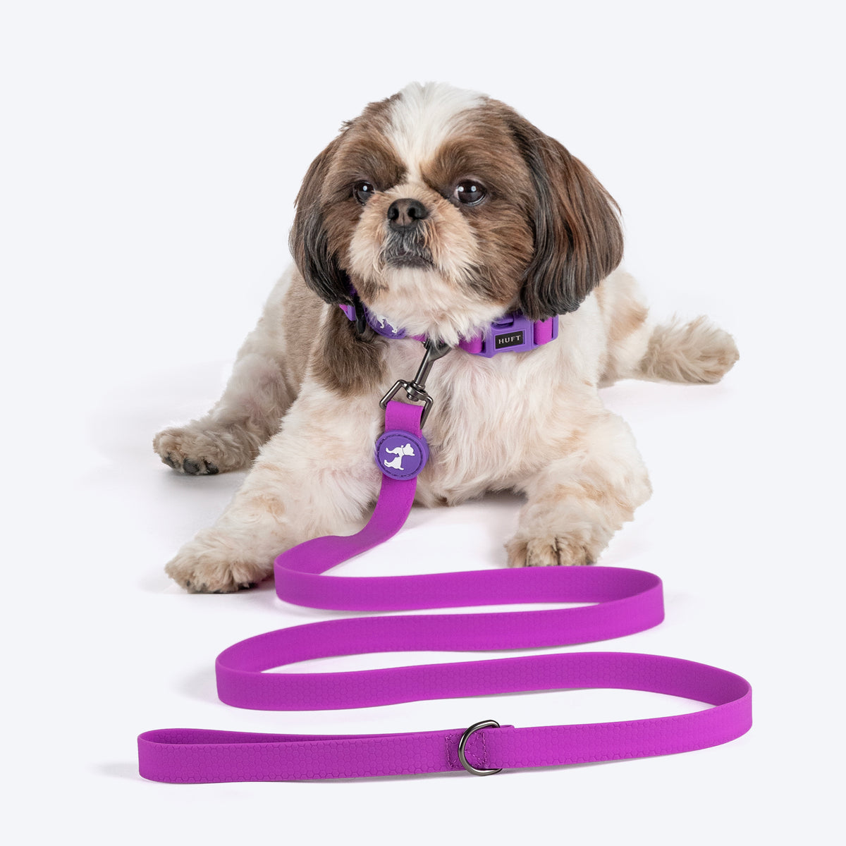 HUFT Hive Harmony Waterproof Collar and Leash Set For Dog - Purple - Heads Up For Tails