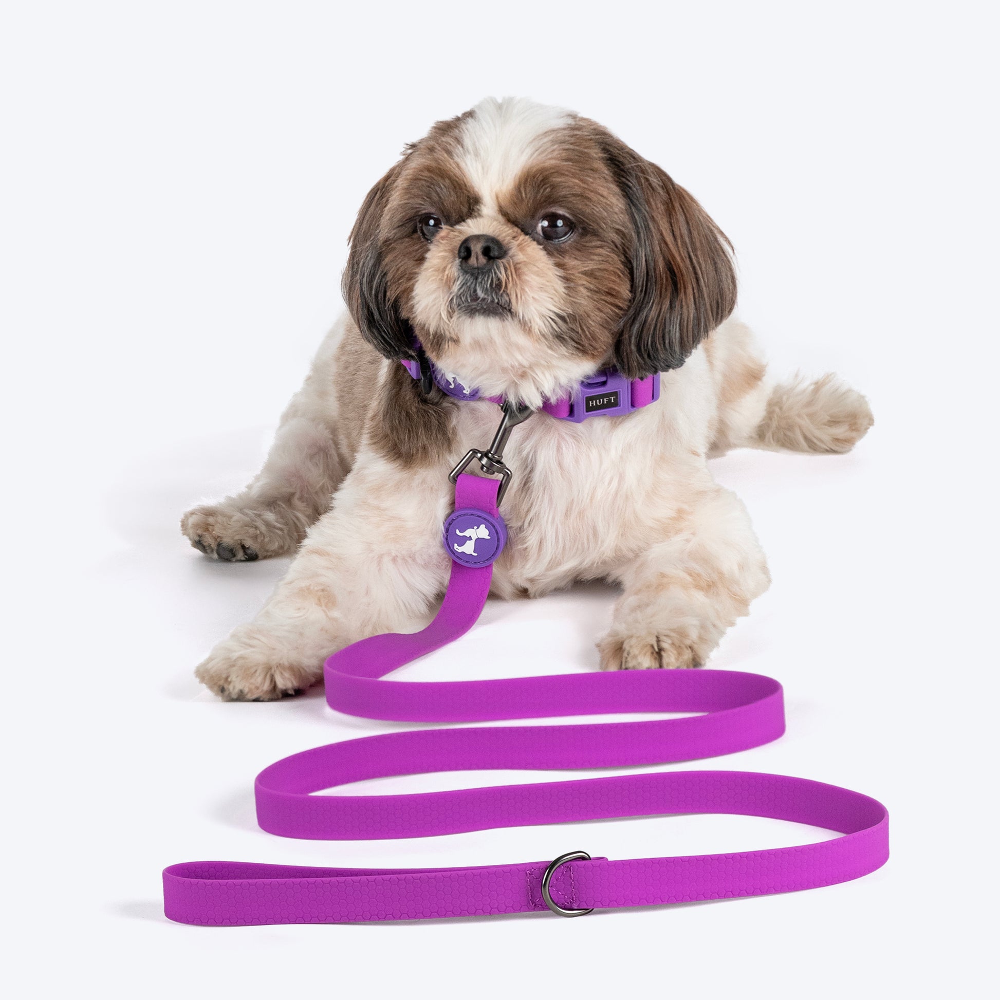 HUFT Hive Harmony Waterproof Collar and Leash Set For Dog - Purple - Heads Up For Tails
