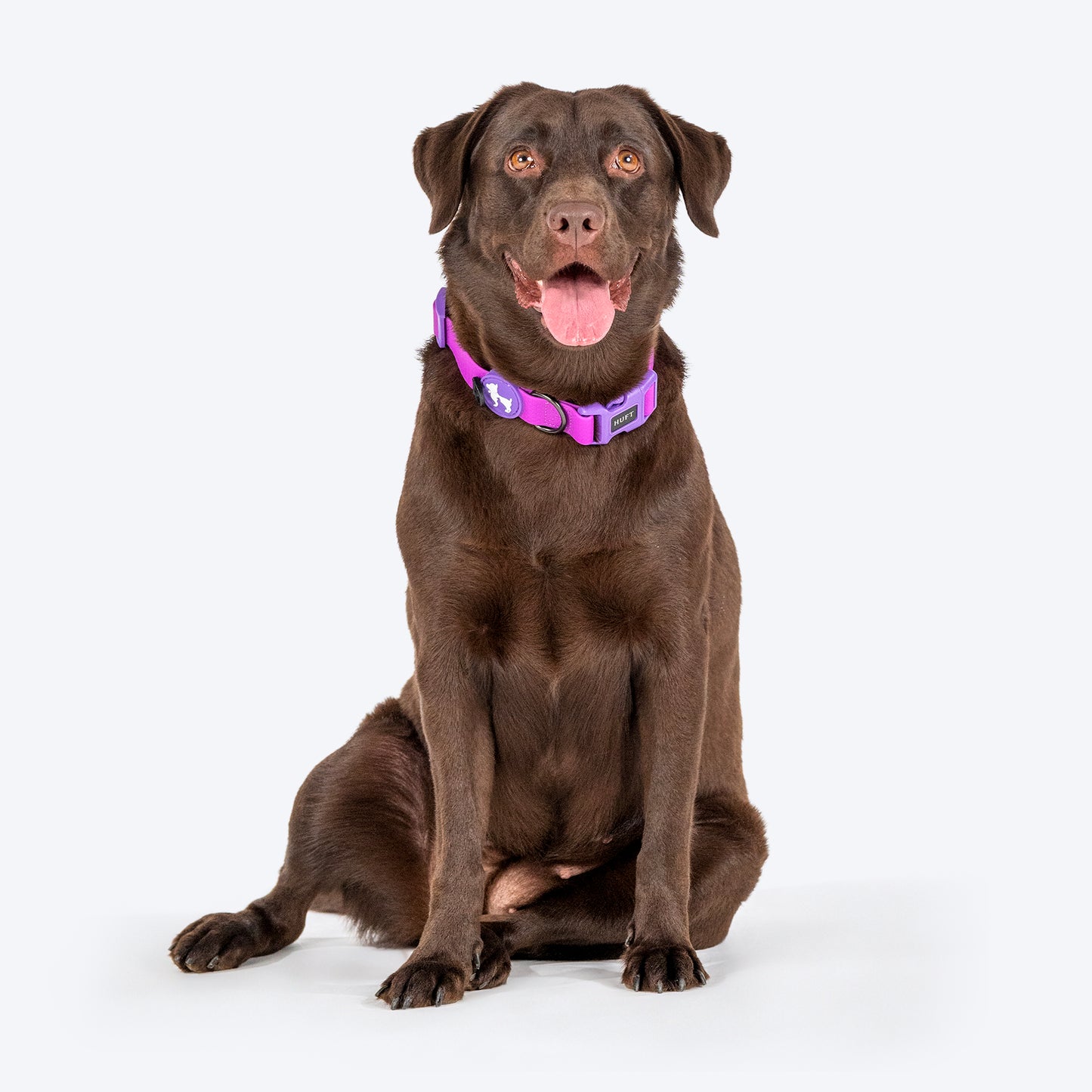 HUFT Hive Harmony Waterproof Collar and Leash Set For Dog - Purple - Heads Up For Tails