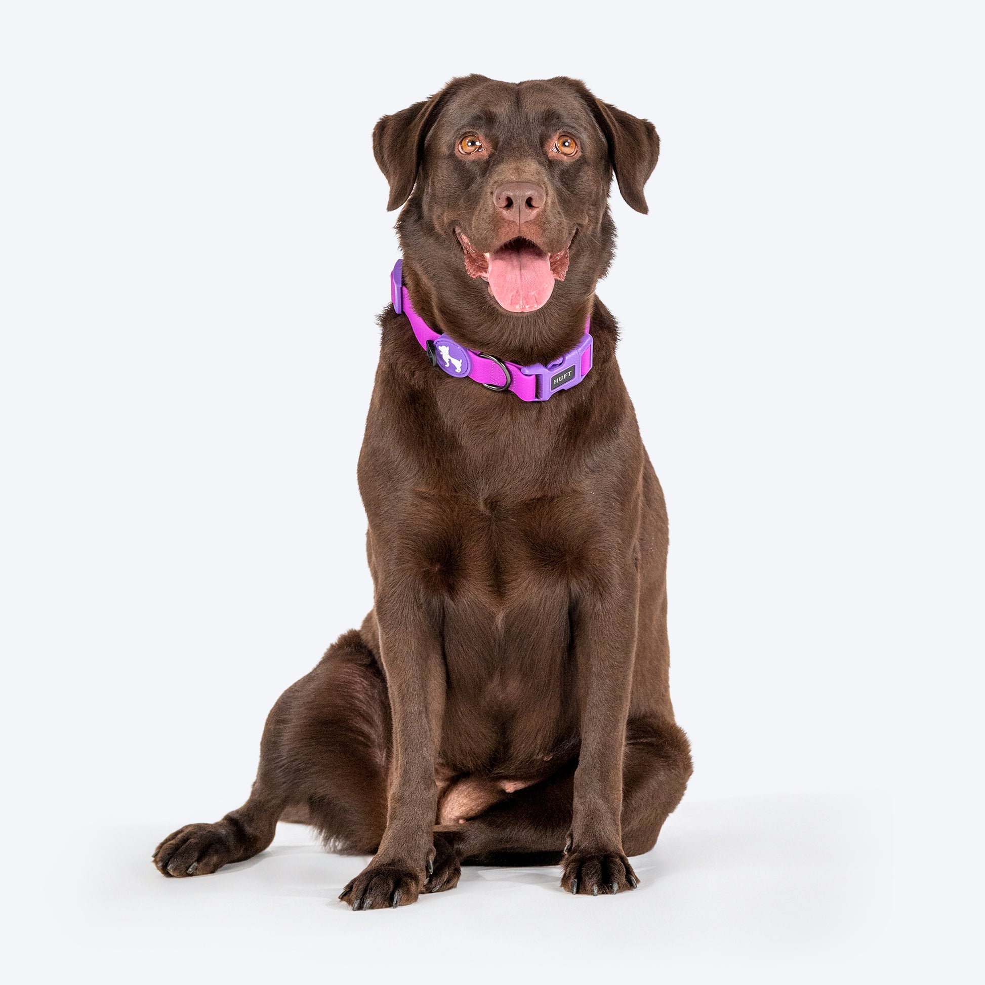 HUFT Hive Harmony Waterproof Collar and Leash Set For Dog - Purple - Heads Up For Tails