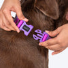 HUFT Hive Harmony Waterproof Collar and Leash Set For Dog - Purple - Heads Up For Tails