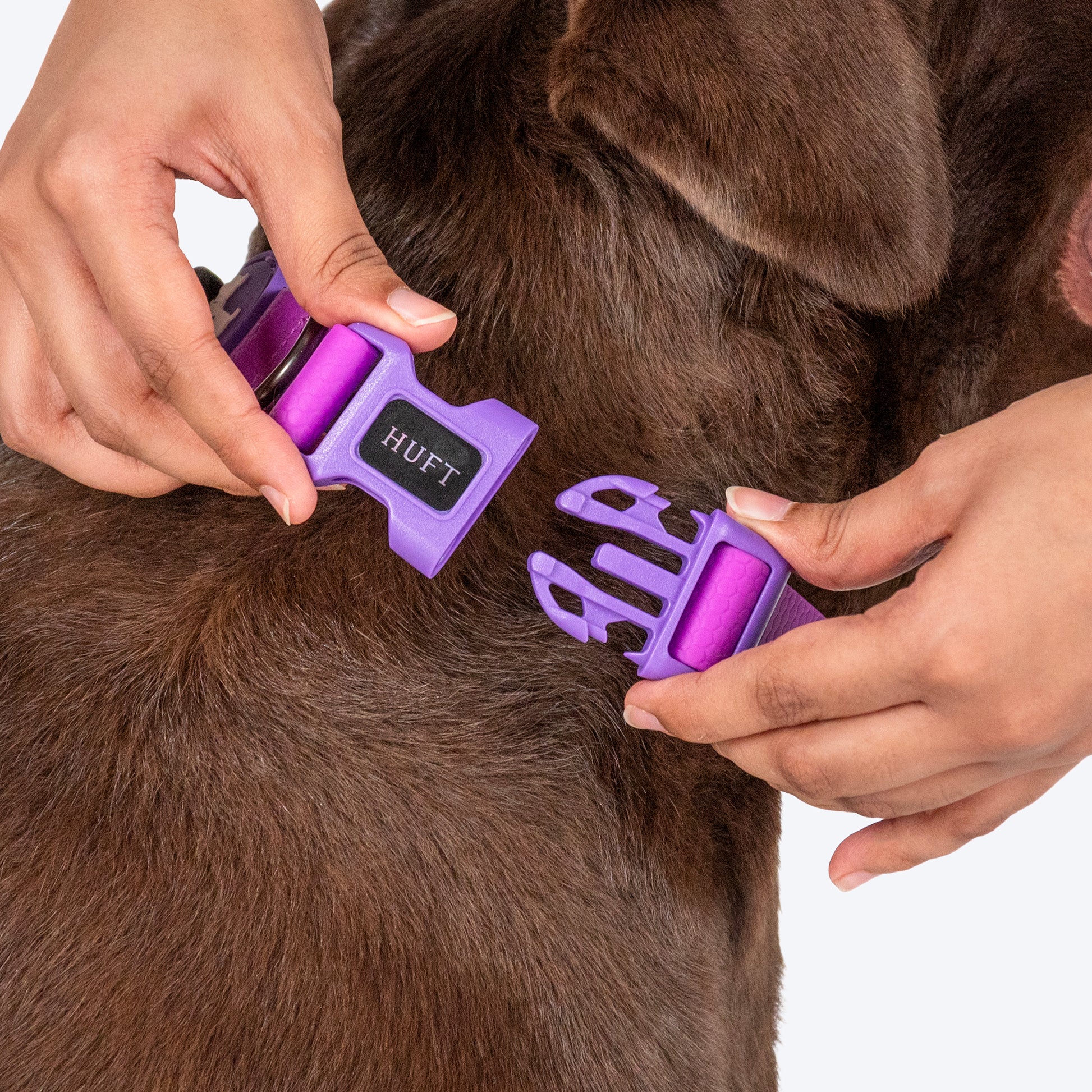 HUFT Hive Harmony Waterproof Collar and Leash Set For Dog - Purple - Heads Up For Tails