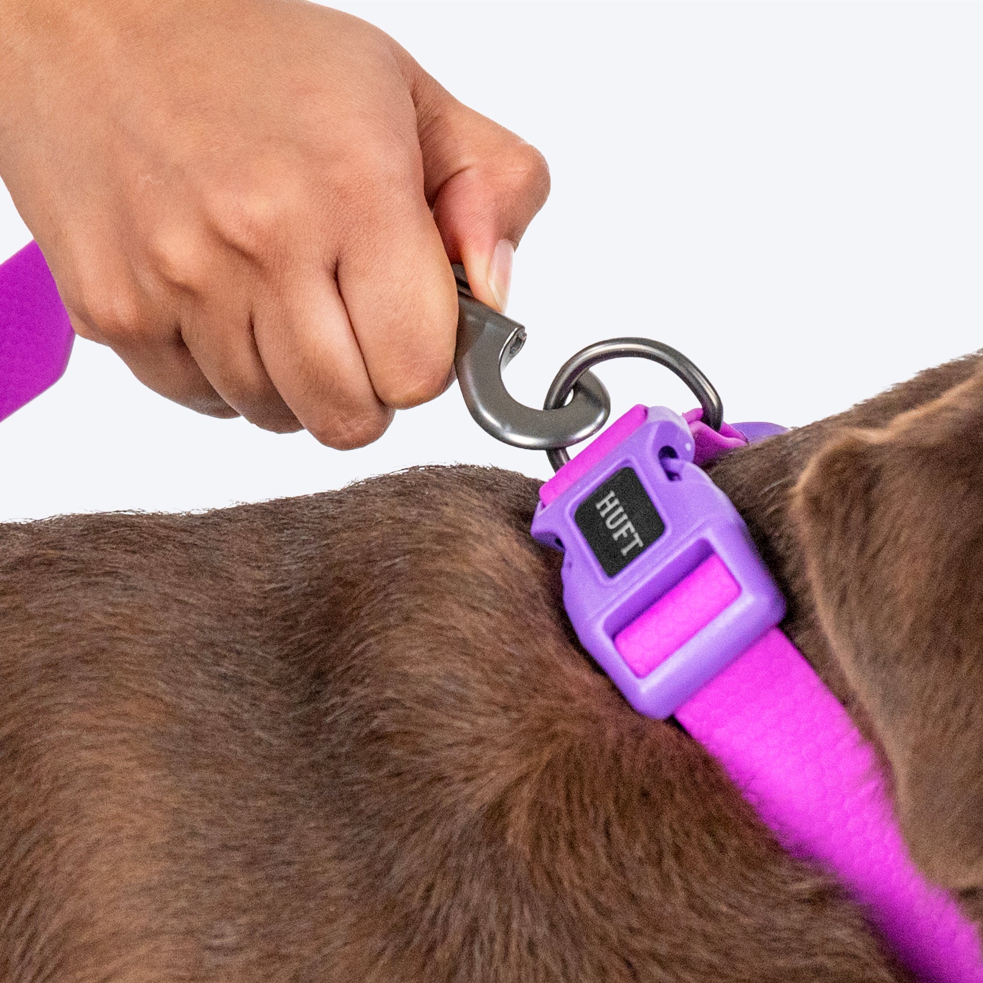 HUFT Hive Harmony Waterproof Collar and Leash Set For Dog - Purple - Heads Up For Tails