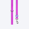 HUFT Hive Harmony Waterproof Collar and Leash Set For Dog - Purple - Heads Up For Tails