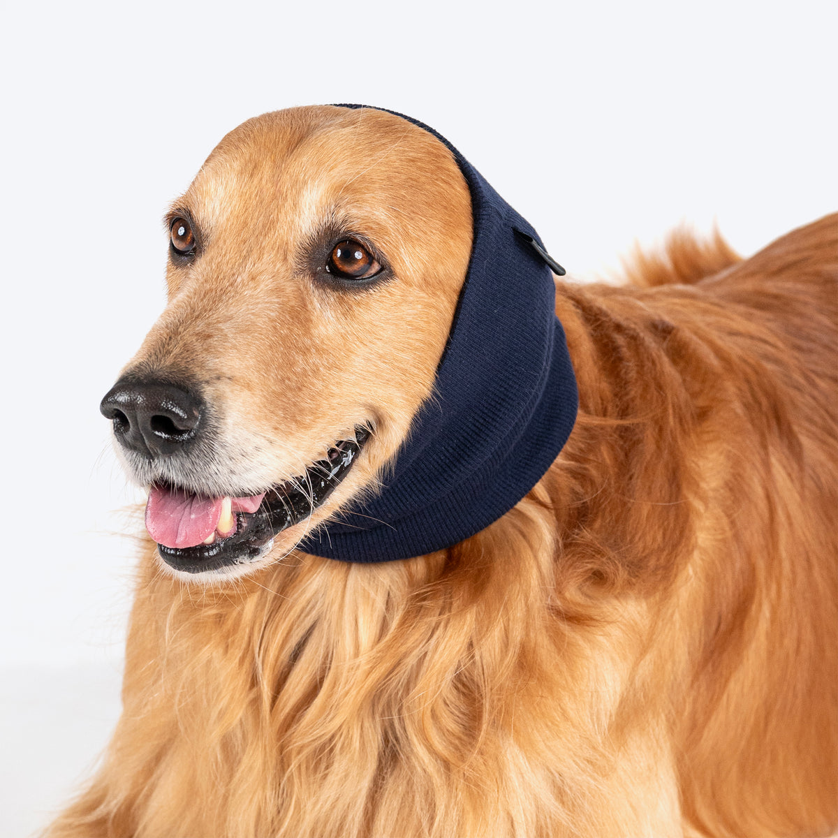 HUFT Noise-Out Hoodies - Doggie Ear Muffs - Navy