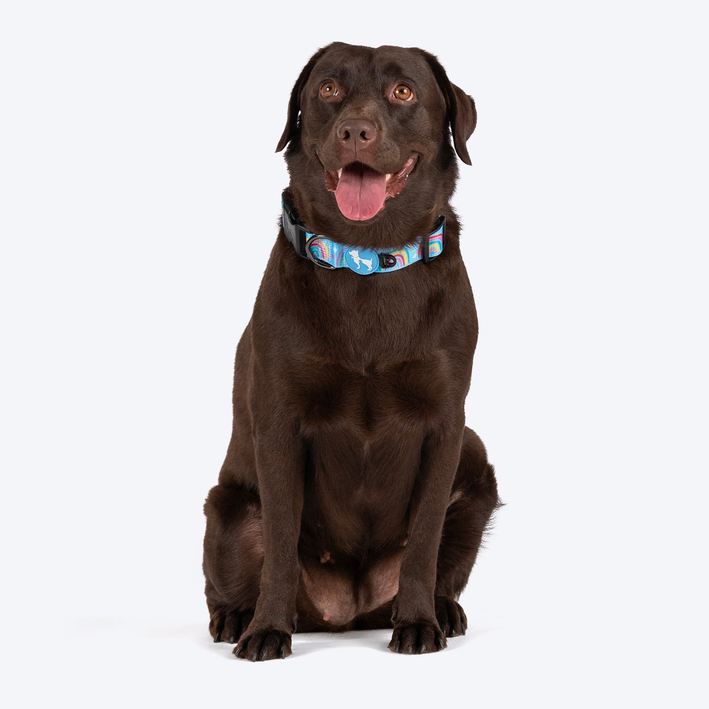 HUFT Over the Rainbow Collar For Dog - Blue