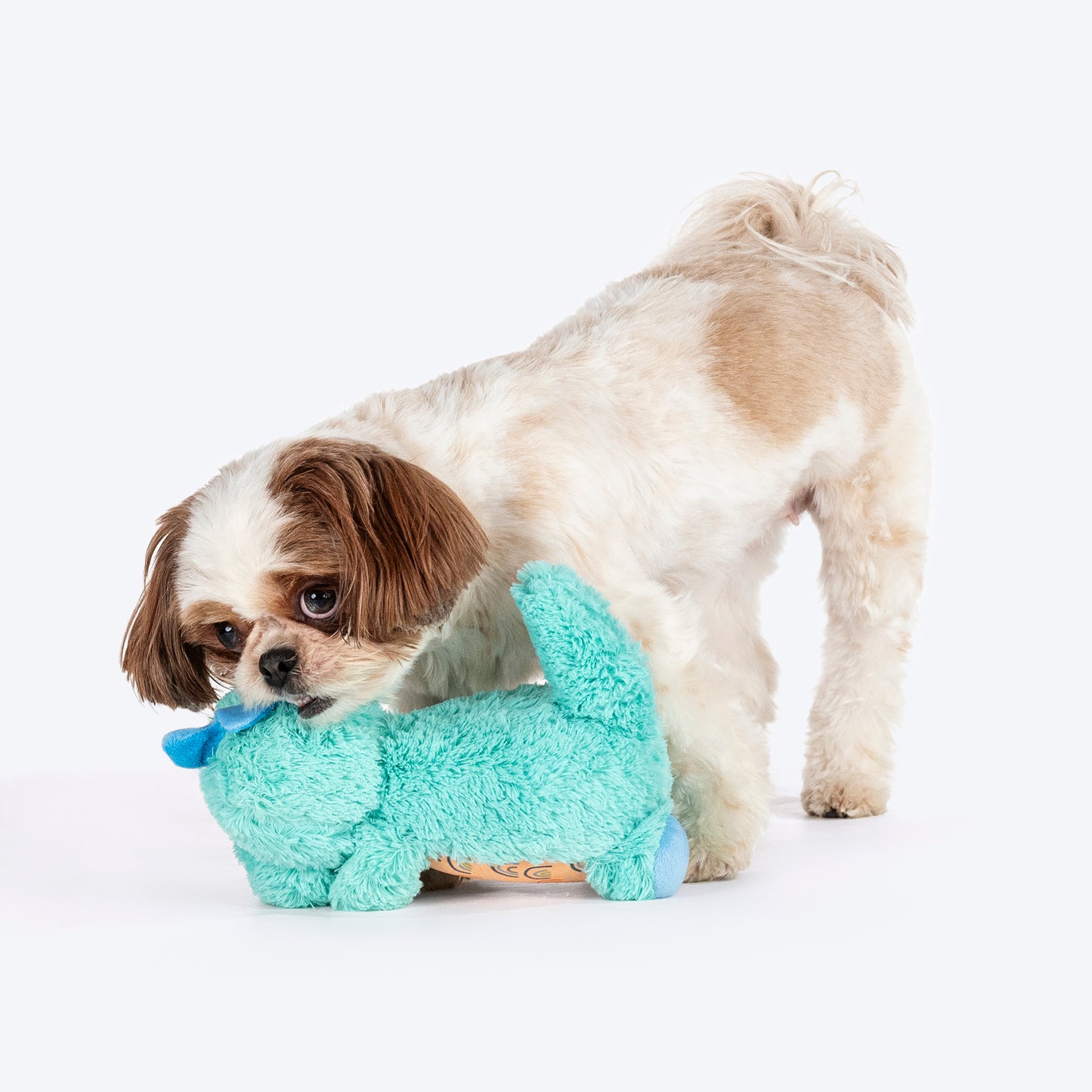 HUFT Sir Roar-A-Lot Plush Toy For Dog - Turquoise Blue