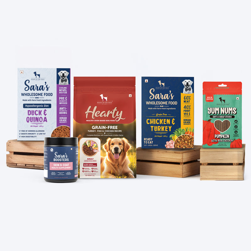 HUFT Skin & Coat Care Bundle