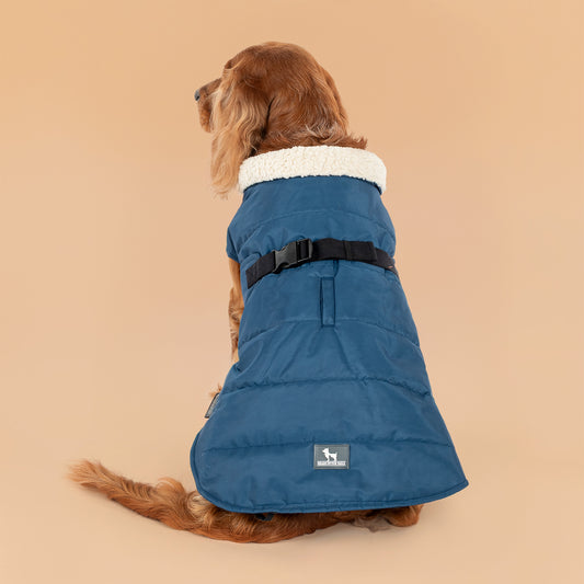 HUFT Snuggle Bug Jacket For Big Dog - Blue