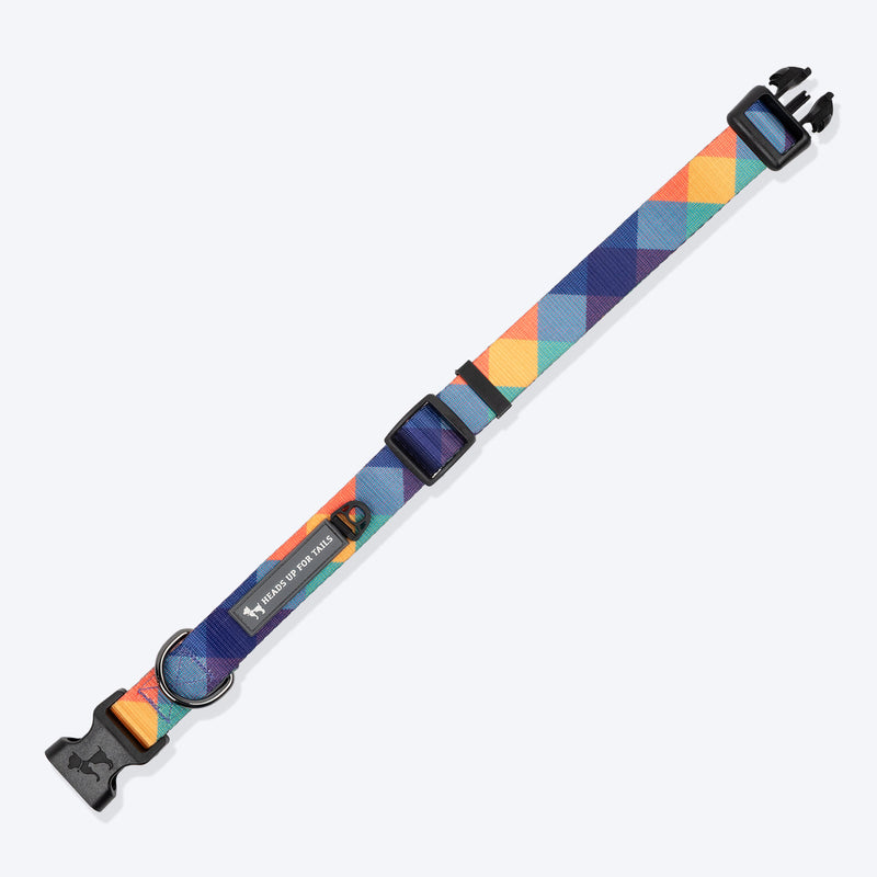 HUFT Technicolor Tartan Collar For Dog - Multicolor_06