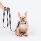 HUFT Technicolor Tartan Leash For Dog - Multicolor_03