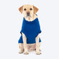 HUFT VIP T-shirts For Dog - Blue_02