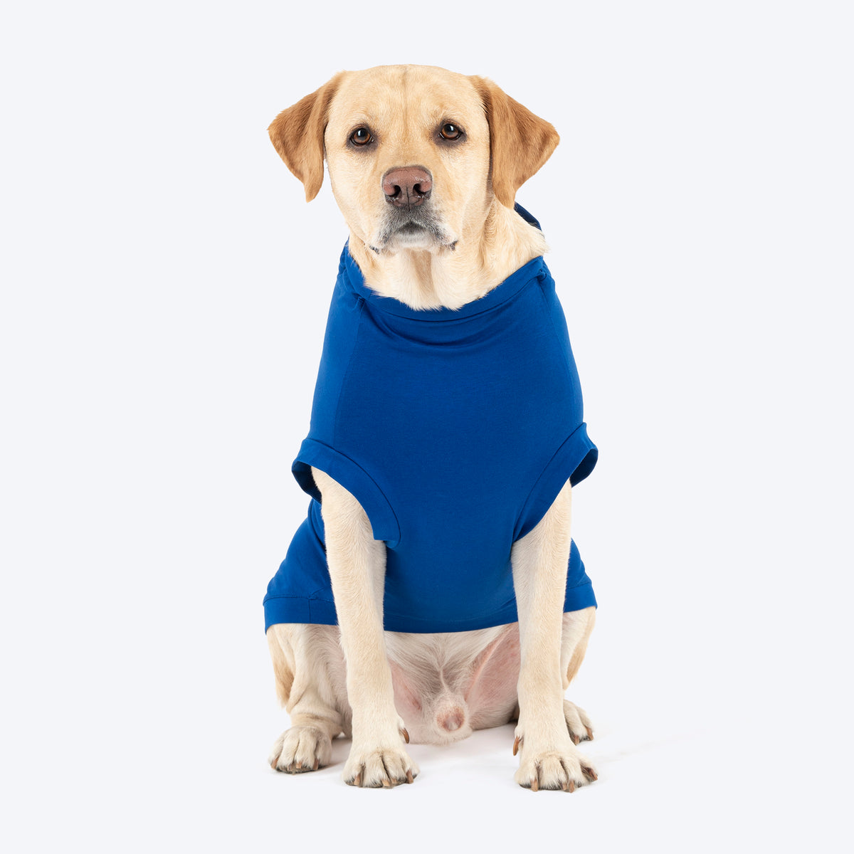 HUFT VIP T-shirts For Dog - Blue_02