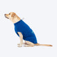 HUFT VIP T-shirts For Dog - Blue_03