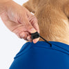 HUFT VIP T-shirts For Dog - Blue_05
