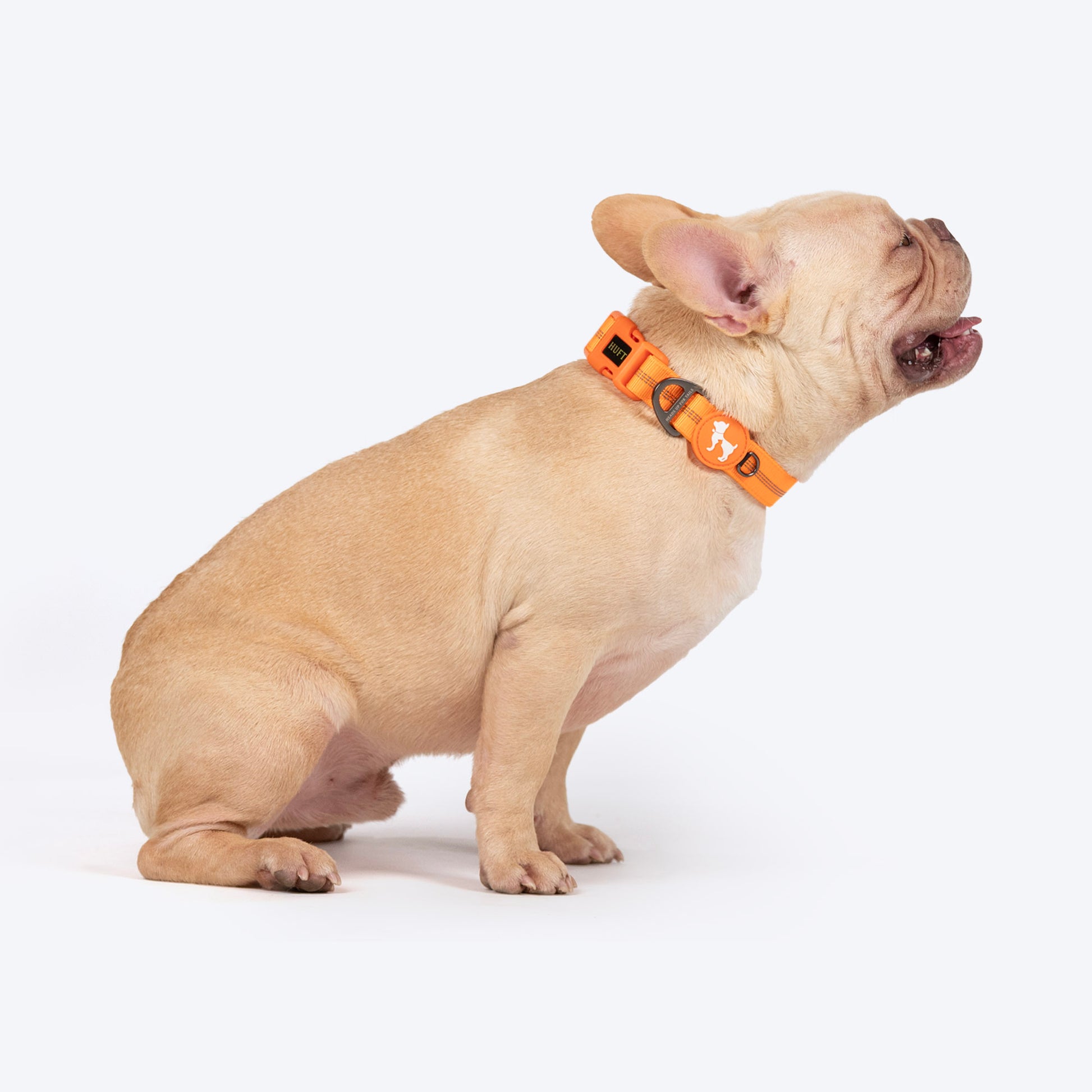 HUFT Xplorers Collar For Dog - Orange_03