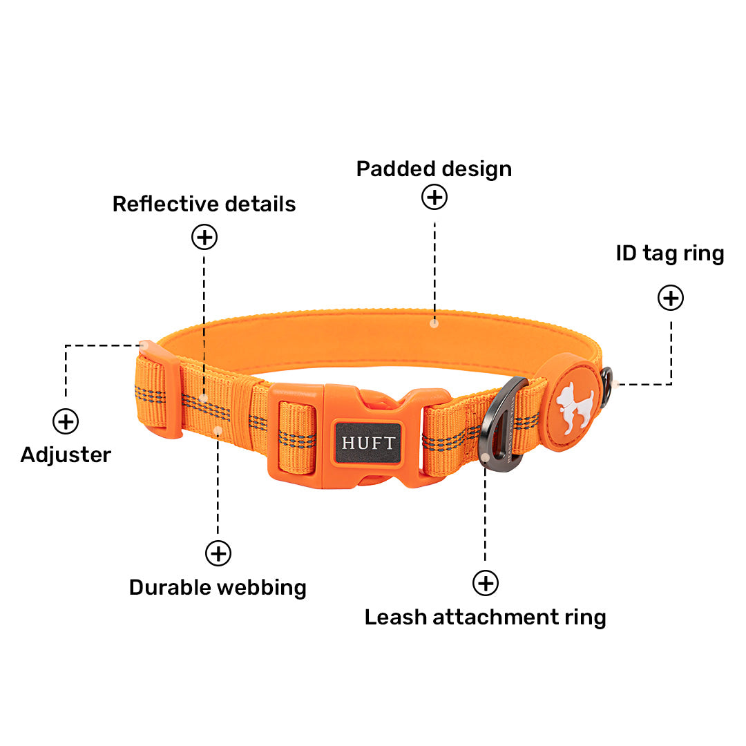 HUFT Xplorers Collar For Dog - Orange_05