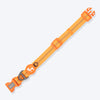 HUFT Xplorers Collar For Dog - Orange_09