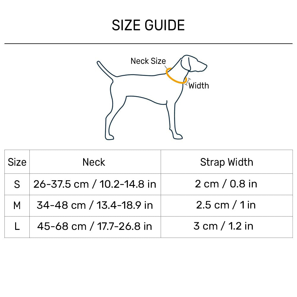 HUFT Xplorers Collar For Dog - Orange_13