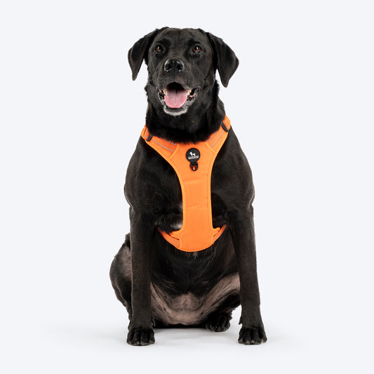 HUFT Xplorers Harness For Dog- Orange_01