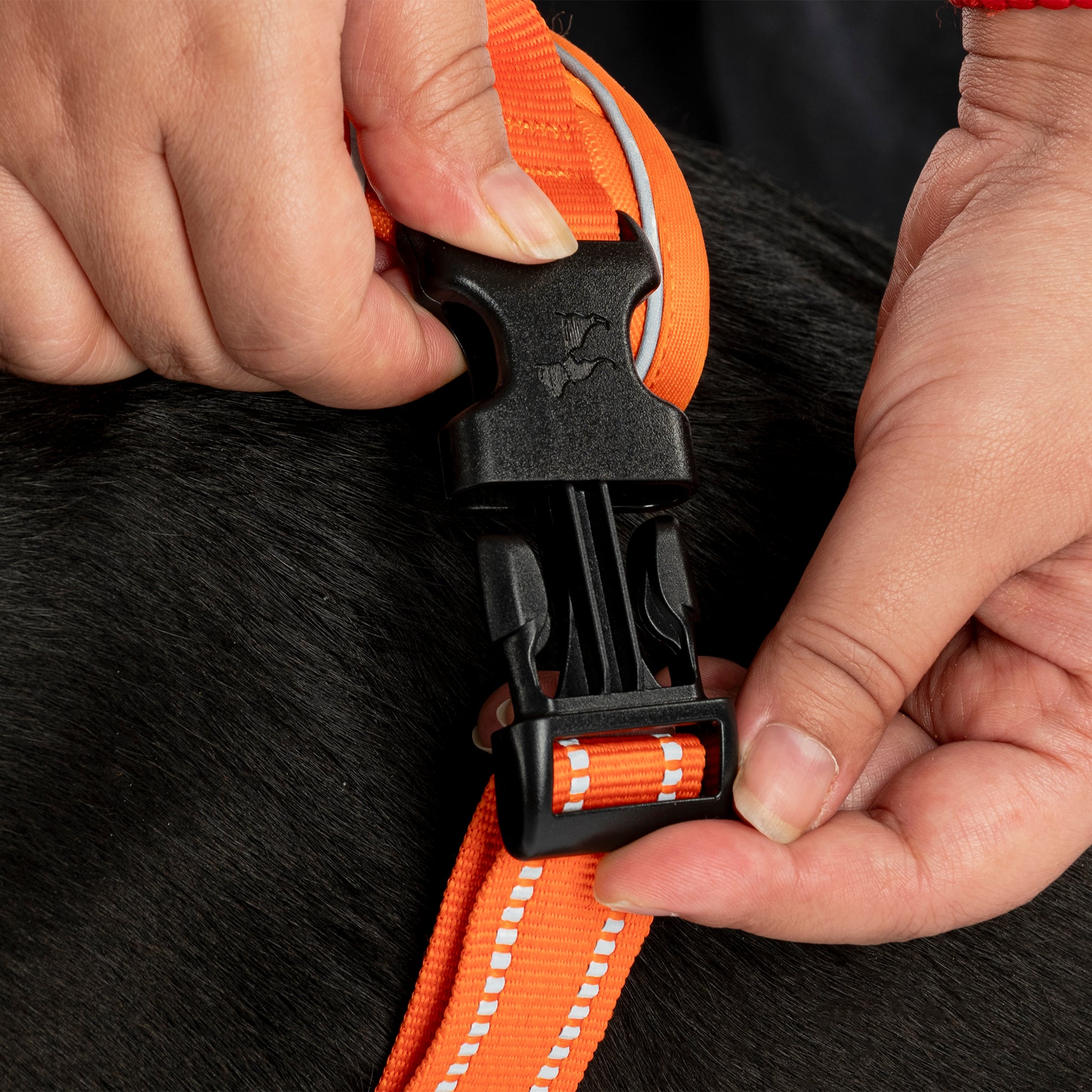 HUFT Xplorers Harness For Dog- Orange_06