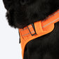 HUFT Xplorers Harness For Dog- Orange_07