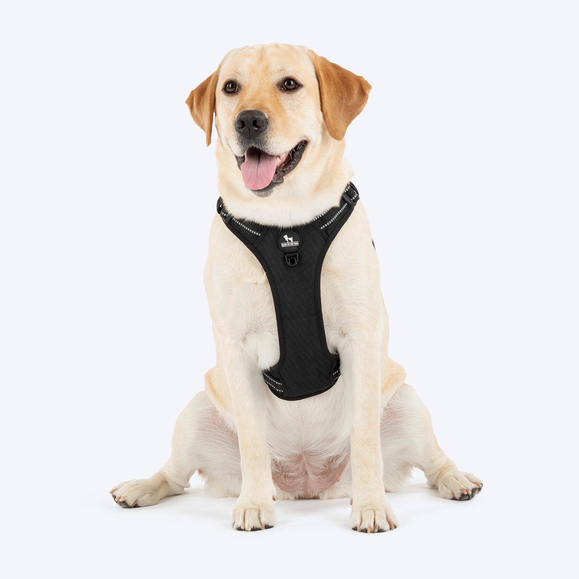 HUFT Xplorers Harness For Dog - Black_01