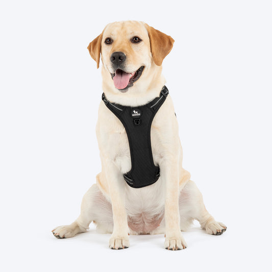 HUFT Xplorers Harness For Dog - Black_01