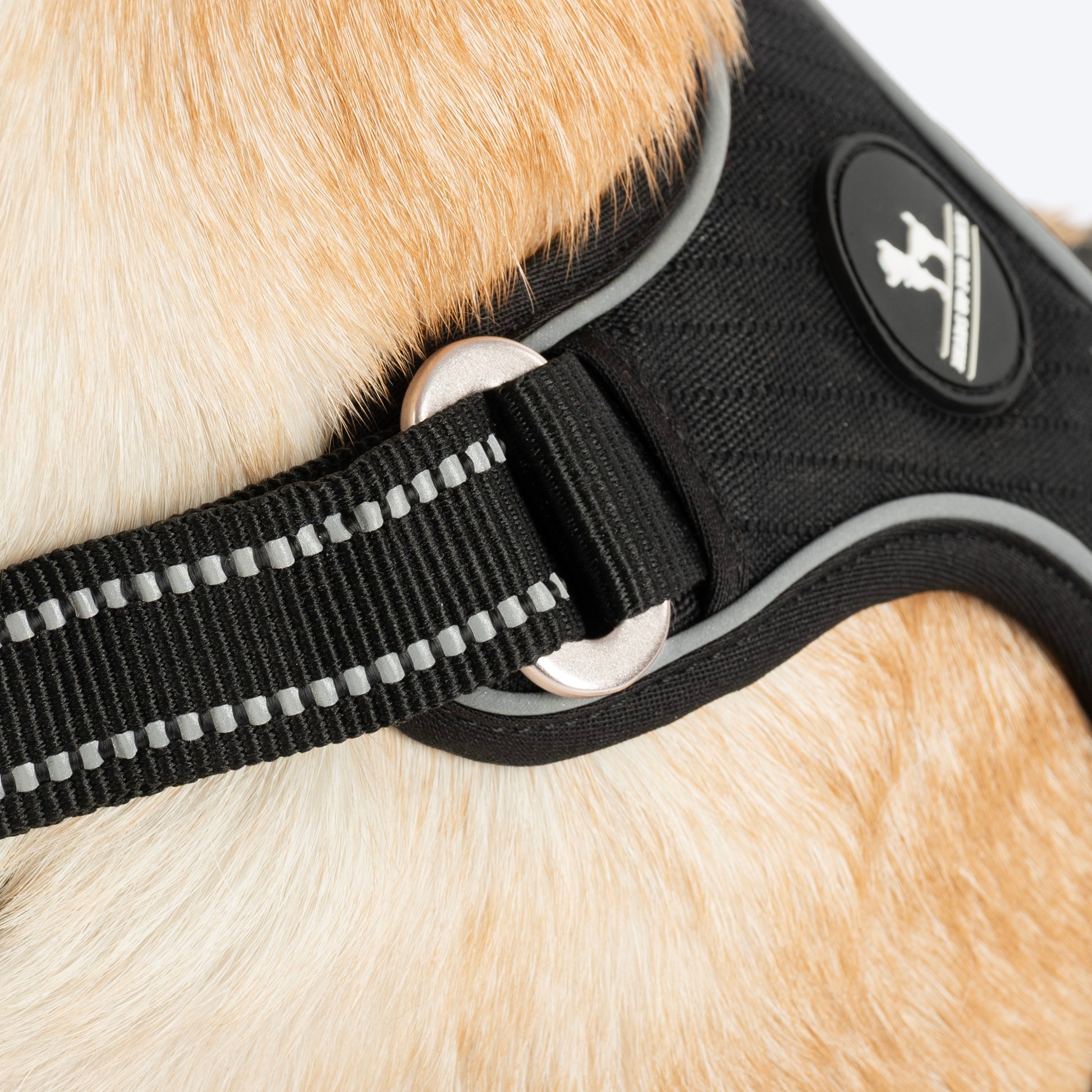 HUFT Xplorers Harness For Dog - Black_05