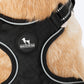 HUFT Xplorers Harness For Dog - Black_10