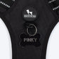 HUFT Xplorers Harness For Dog - Black_12