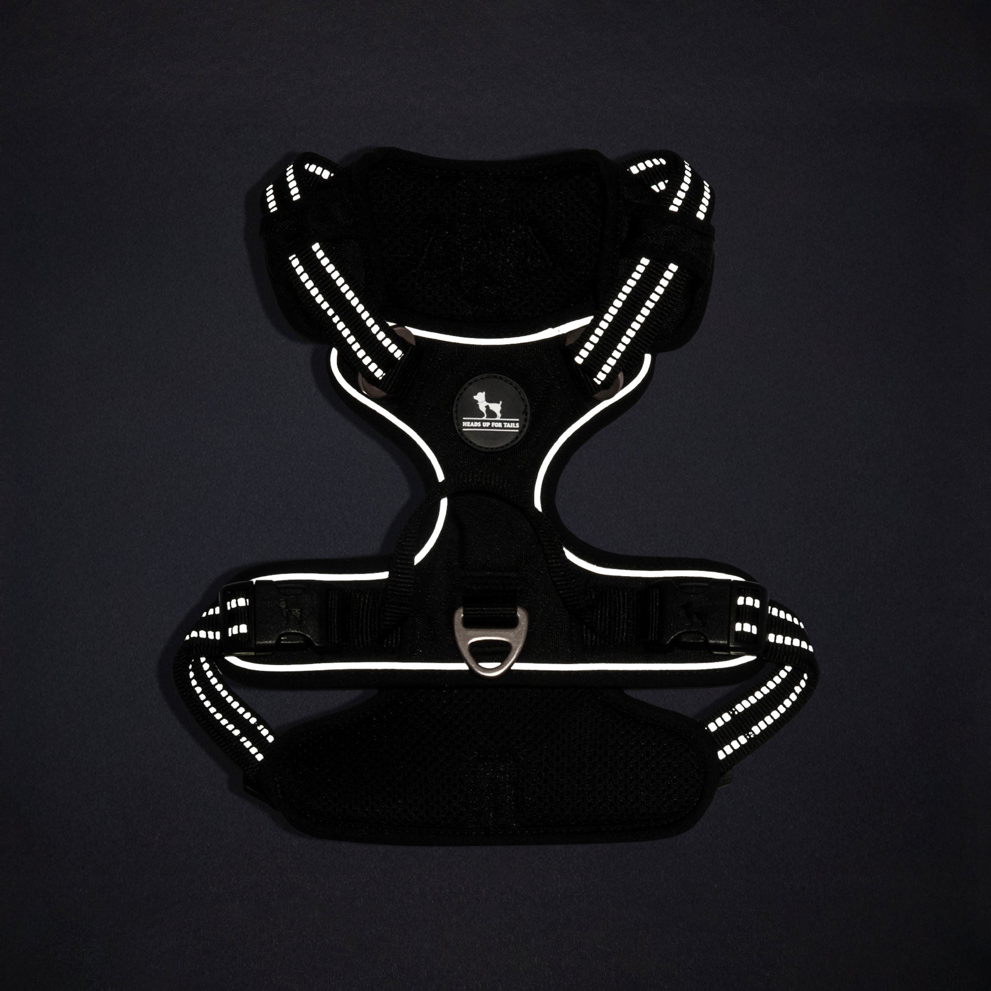 HUFT Xplorers Harness For Dog - Black_15