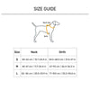 HUFT Xplorers Harness For Dog - Blue_14