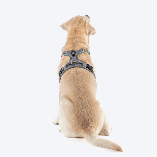 HUFT Xplorers Harness For Dog - Grey