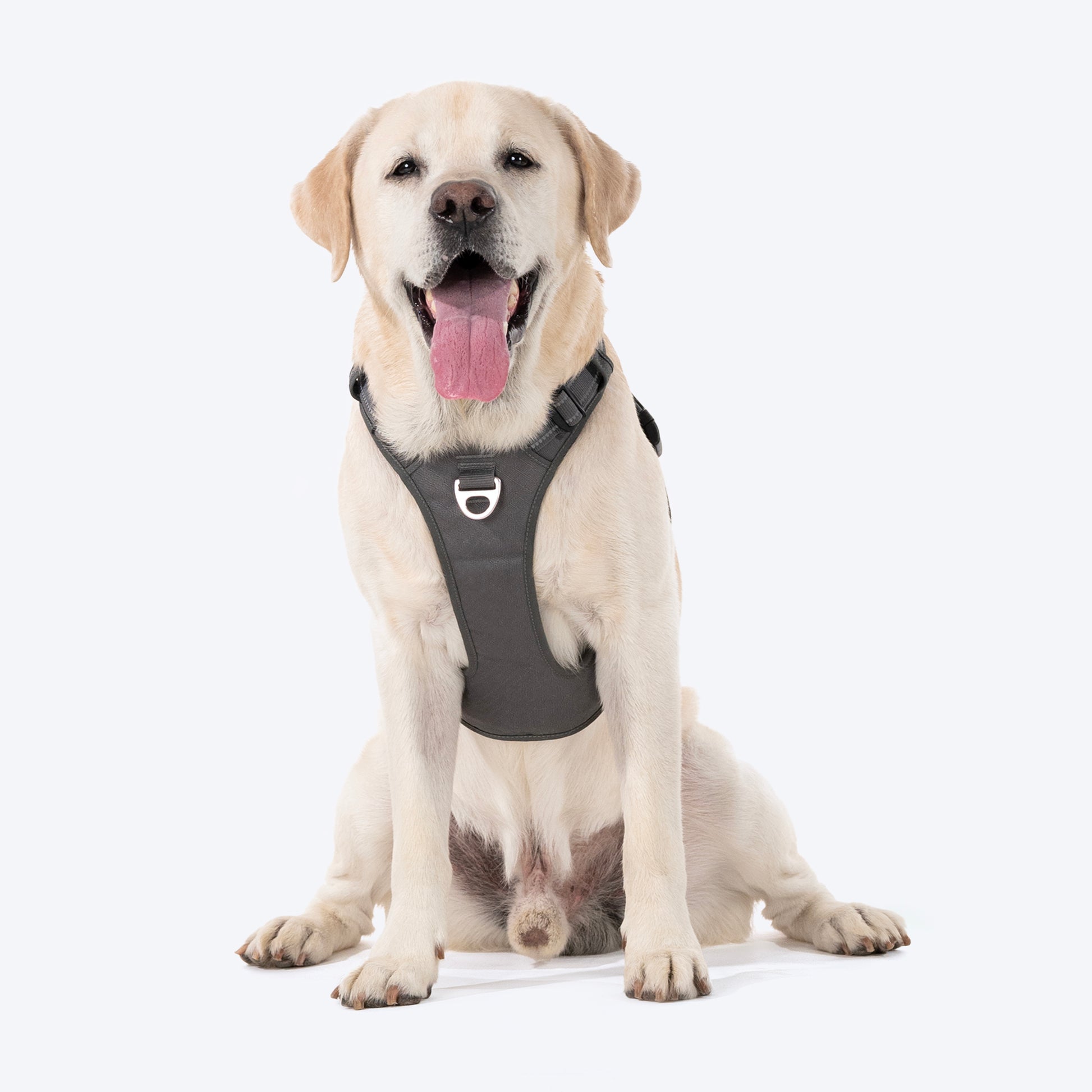HUFT Xplorers Harness For Dog - Grey - Heads Up For Tails