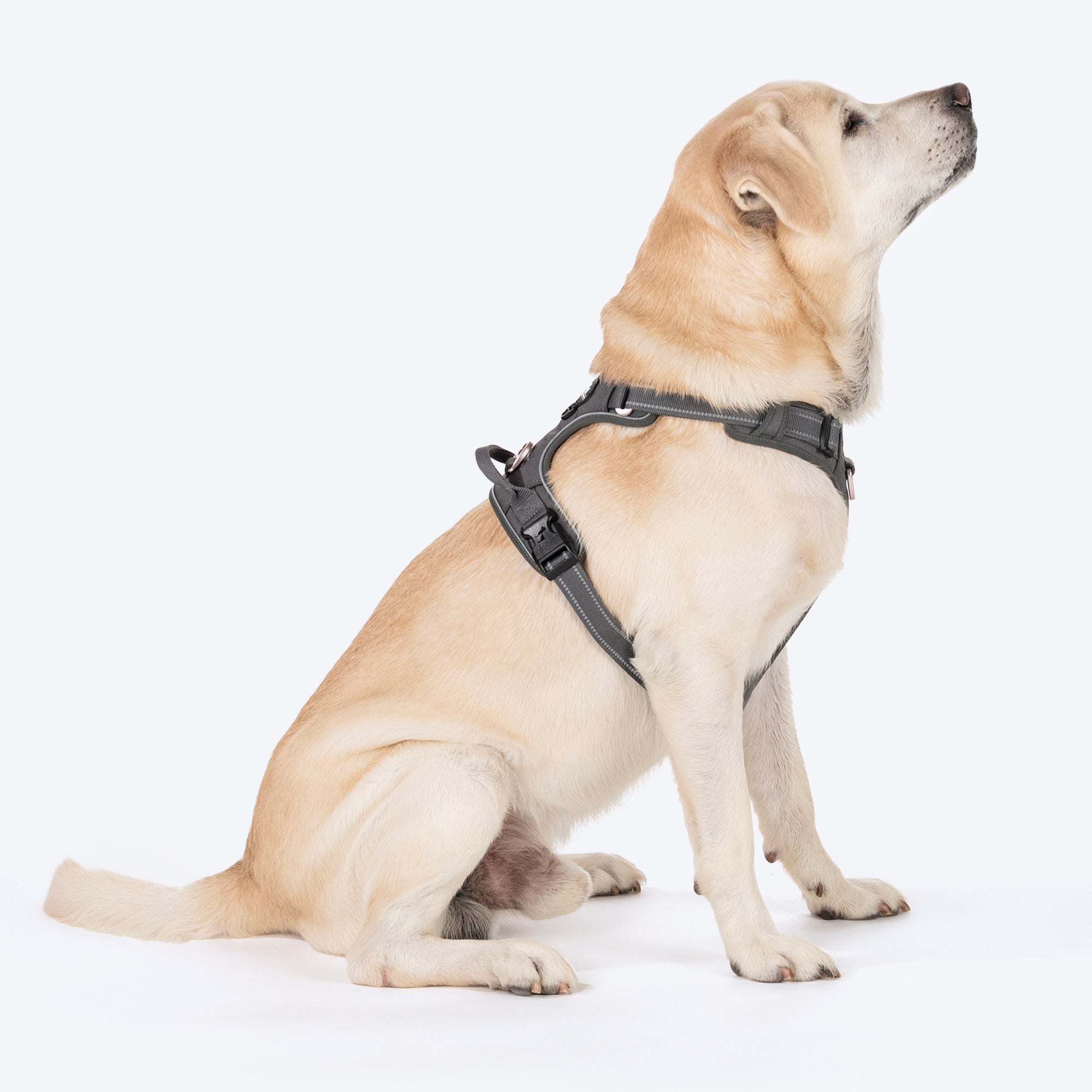 HUFT Xplorers Harness For Dog Grey