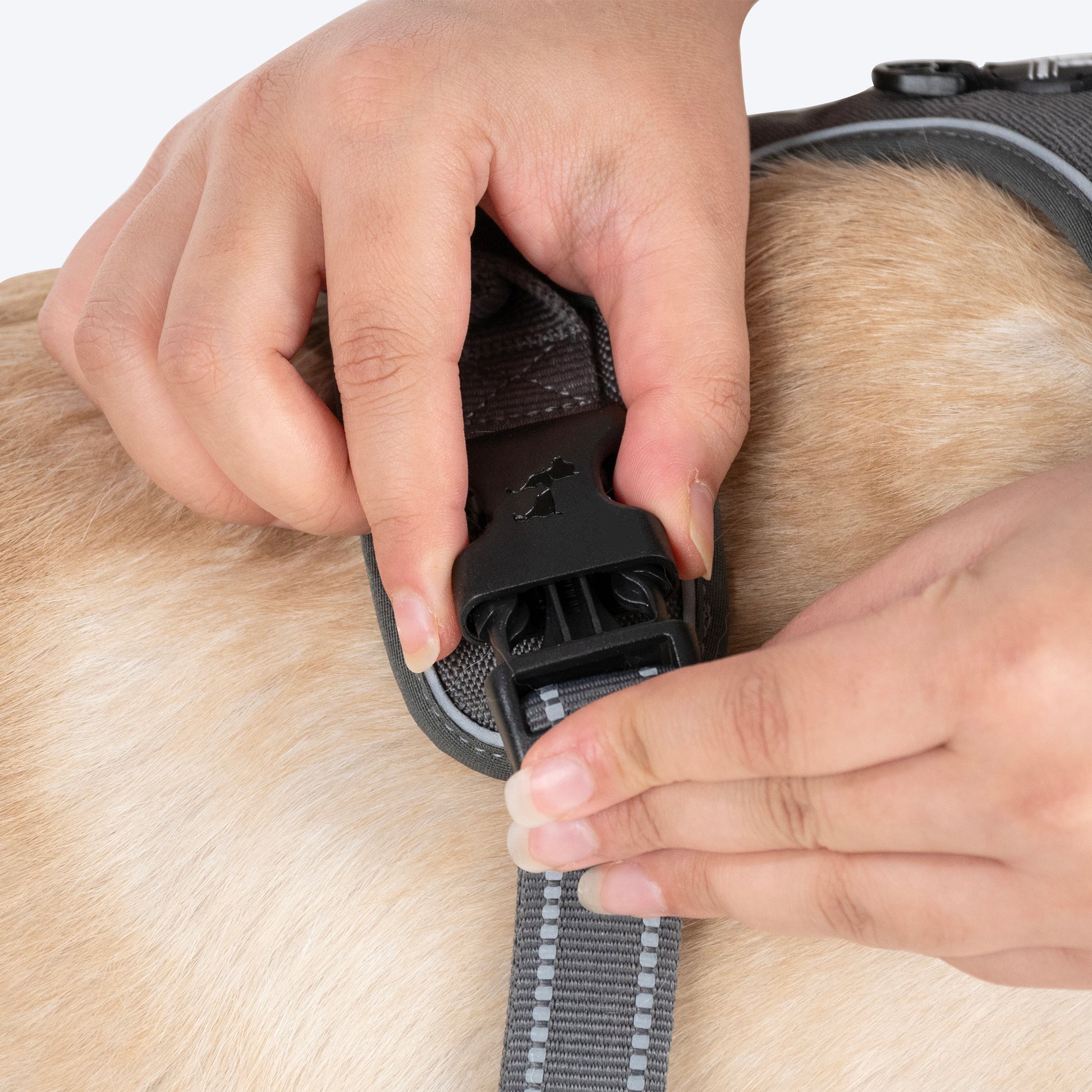 HUFT Xplorers Harness For Dog - Grey - Heads Up For Tails