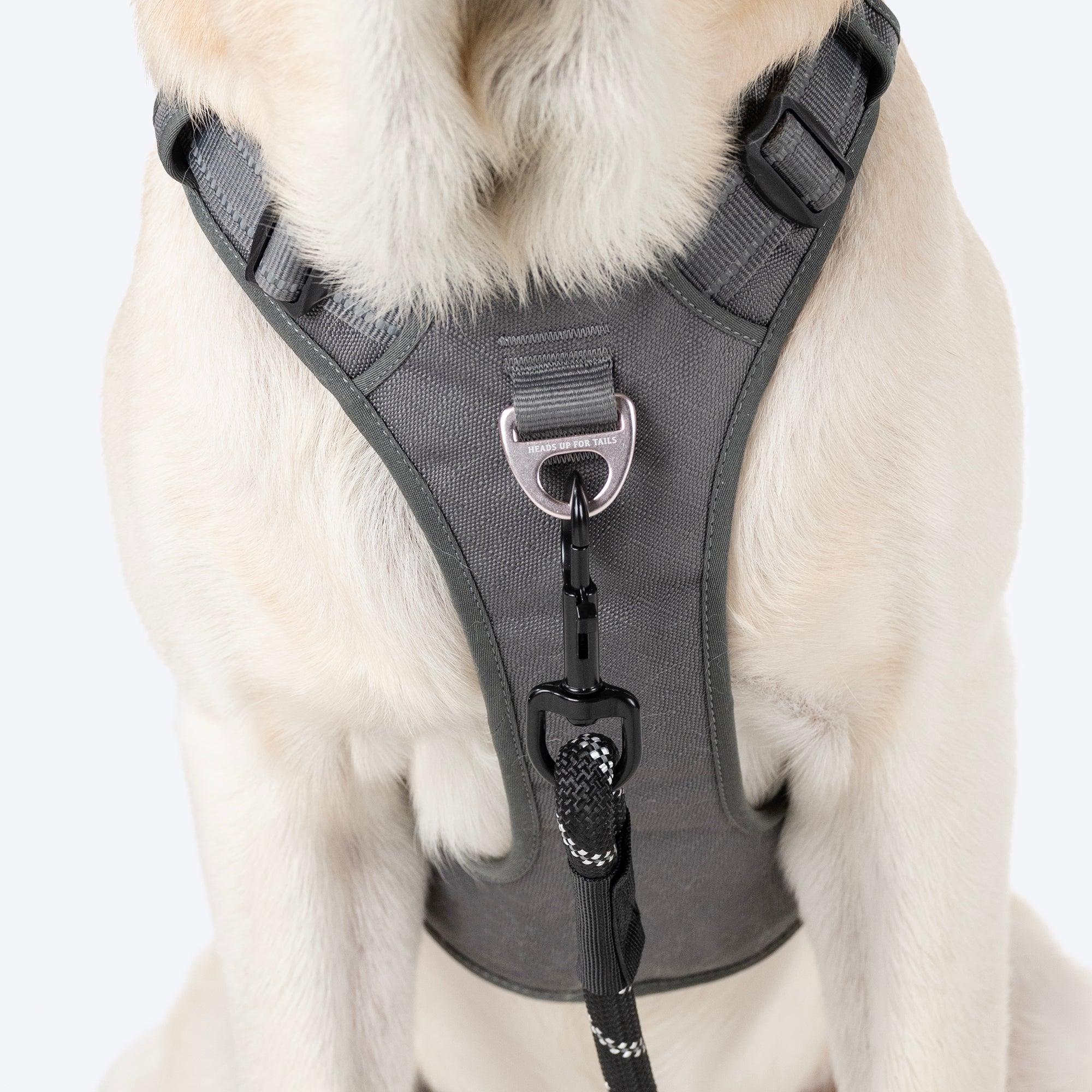 HUFT Xplorers Harness For Dog Grey