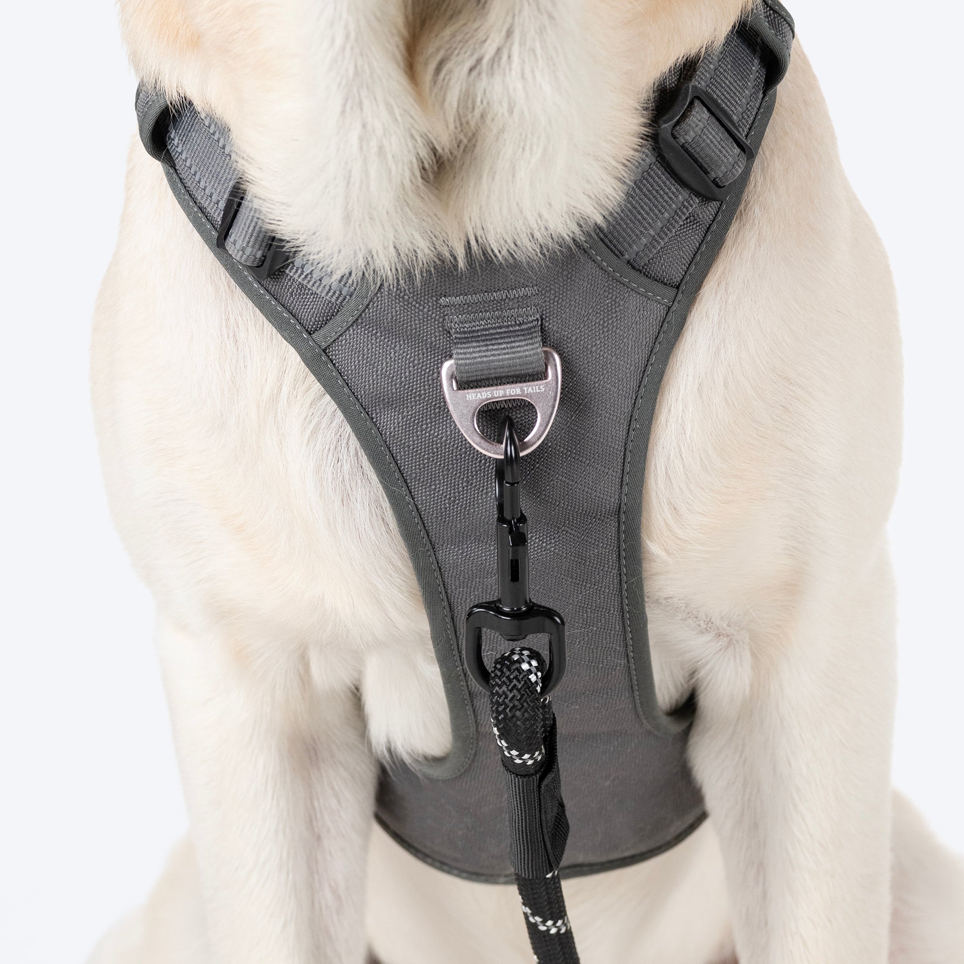HUFT Xplorers Harness For Dog - Grey - Heads Up For Tails