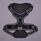 HUFT Xplorers Harness For Dog - Grey - Heads Up For Tails