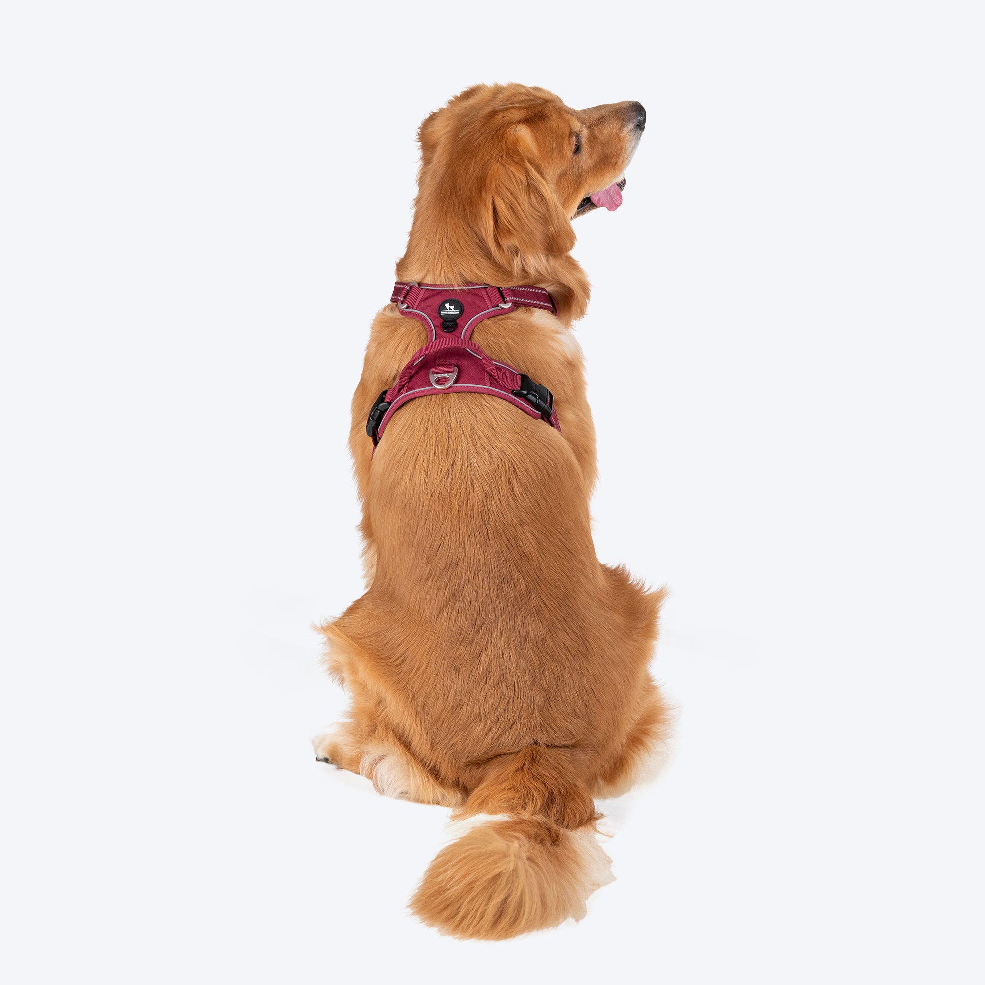 Dog Harness Buy Harness Body Belt for Dog Online at Best Prices Heads Up For Tails