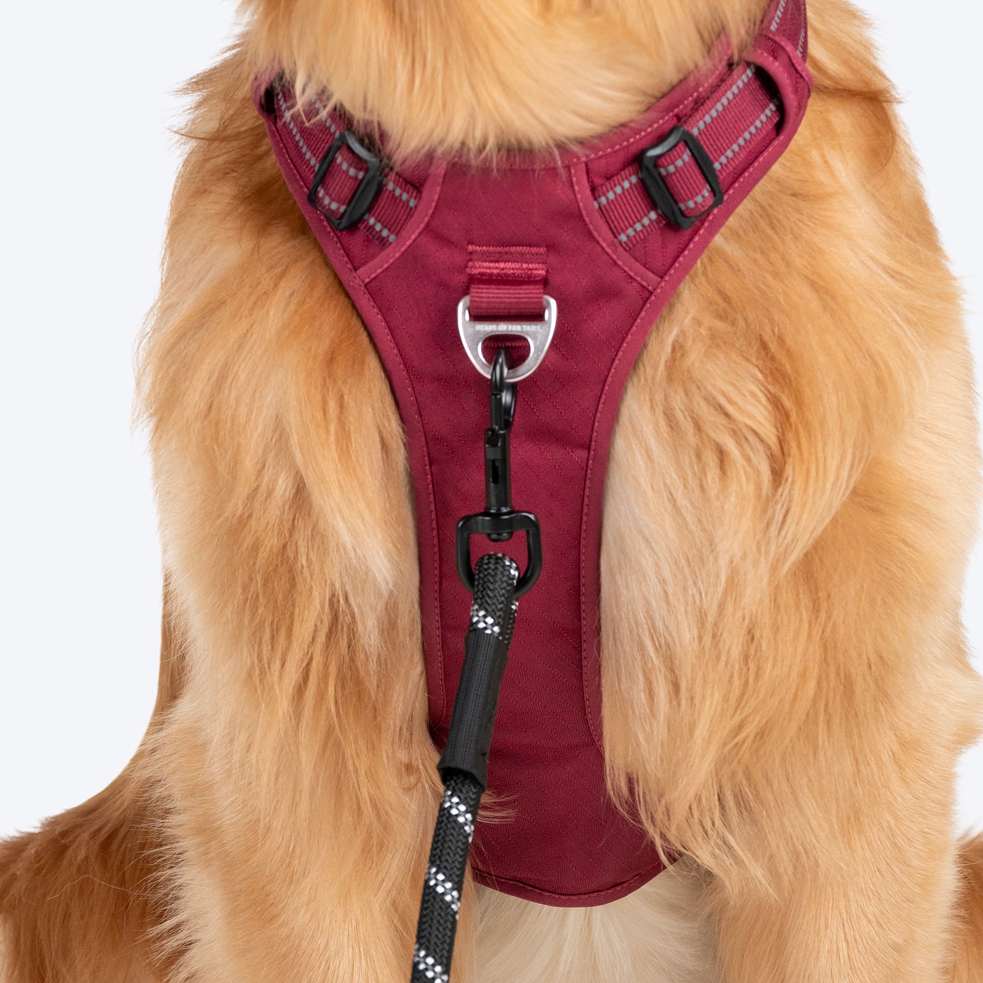 Maroon dog harness outlet