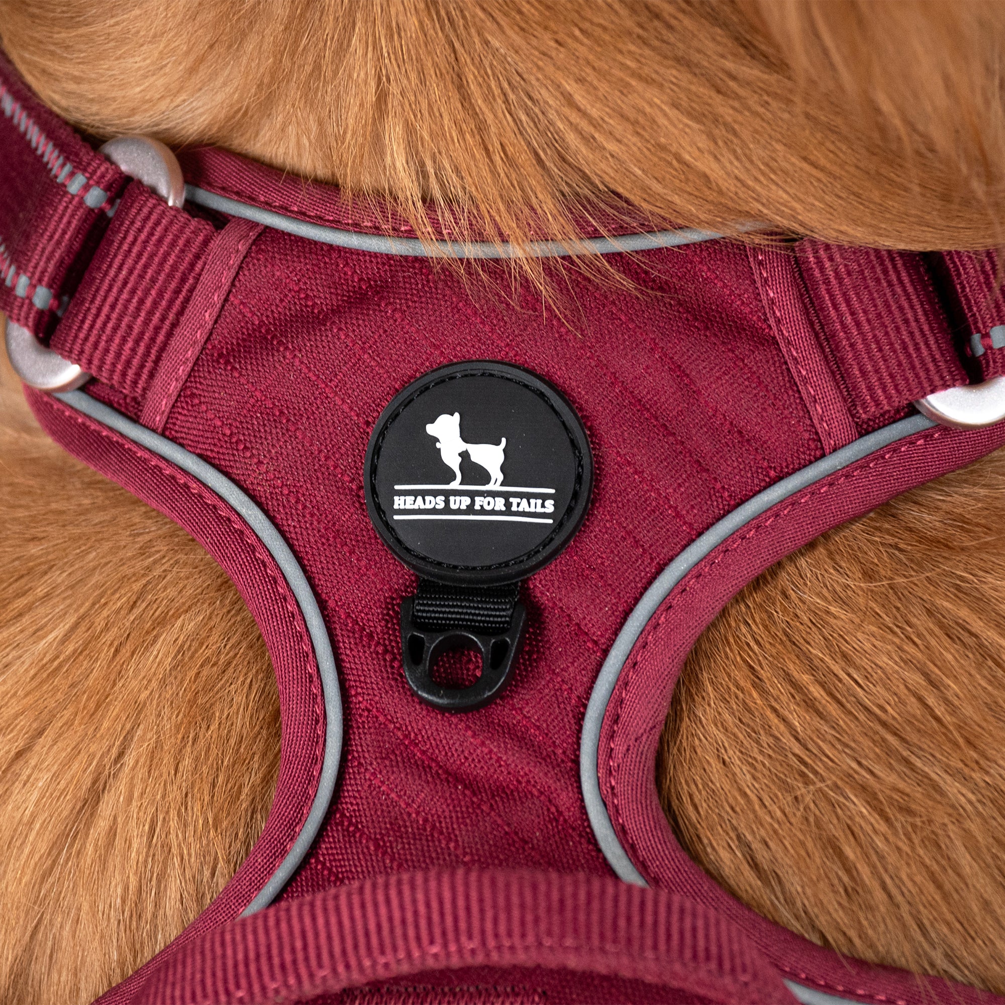 HUFT Xplorers Harness For Dog Maroon