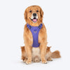 HUFT Xplorers Harness For Dog - Purple - Heads Up For Tails