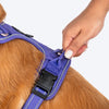 HUFT Xplorers Harness For Dog - Purple - Heads Up For Tails