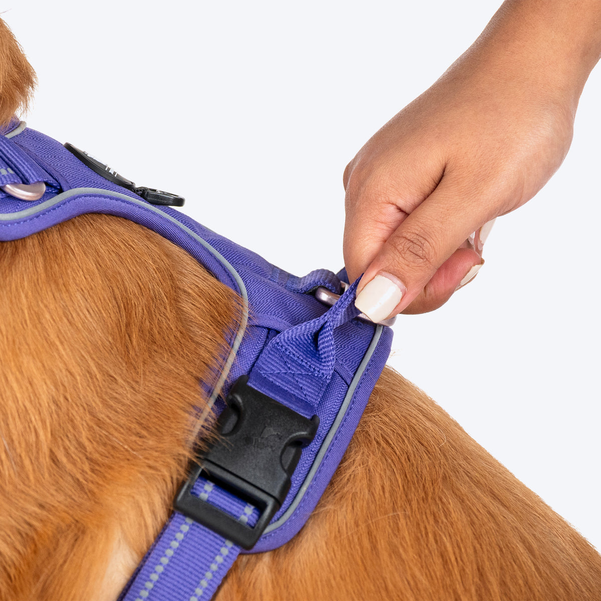 HUFT Xplorers Harness For Dog - Purple - Heads Up For Tails