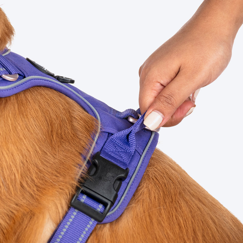 HUFT Xplorers Harness For Dog - Purple - Heads Up For Tails