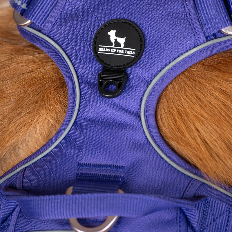 HUFT Xplorers Harness For Dog - Purple - Heads Up For Tails