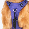 HUFT Xplorers Harness For Dog - Purple - Heads Up For Tails
